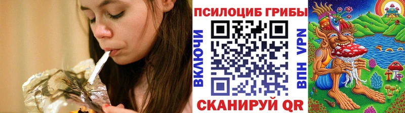Галлюциногенные грибы Psilocybine cubensis Москва