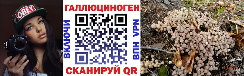 Псилоцибиновые грибы Magic Shrooms  Москва 